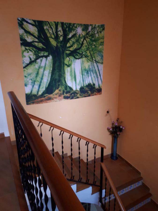 Xàtiva Casa Camino Al Castillo المظهر الخارجي الصورة